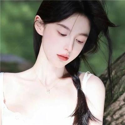 豹